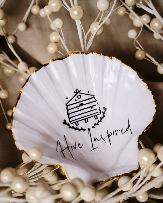 Natural Shell Trinket Dish