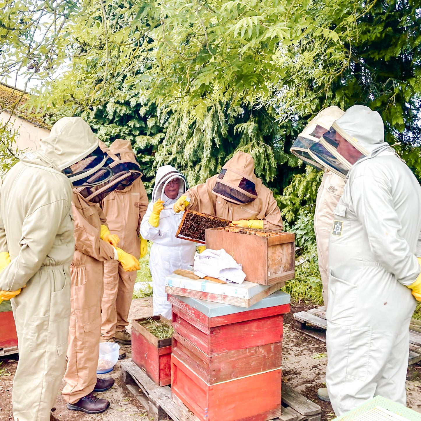 GIFT Voucher - Beekeeping Courses