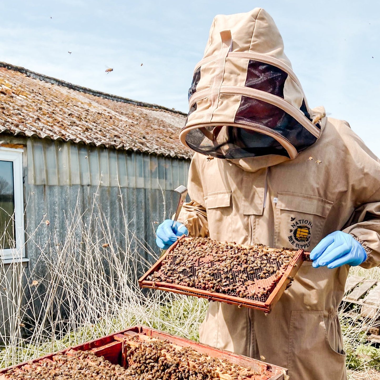 1-Day Beginner Beekeeping Course £135